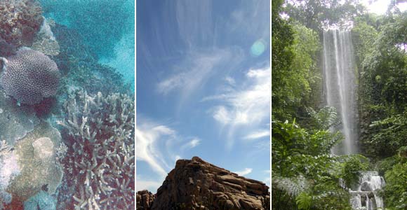Ocean, sky, and land vertebrate environments