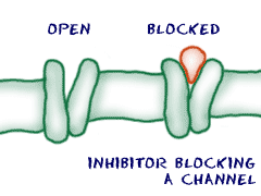 inhibitors blocking channels